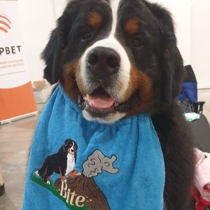 Meet your Posher, Marina